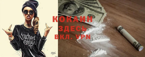 apvp Алексин