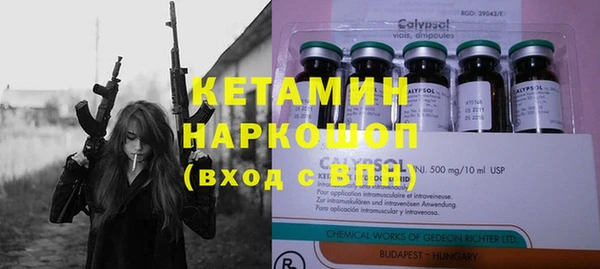 гашик Алексеевка
