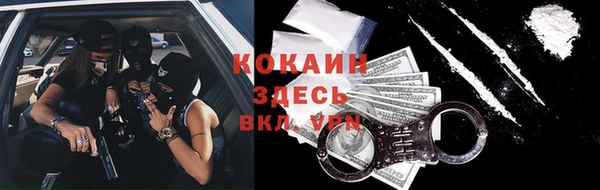 тгк Алзамай