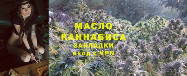 тгк Алзамай