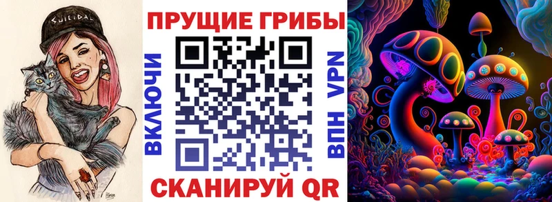 Псилоцибиновые грибы Psilocybine cubensis  kraken рабочий сайт  Макушино  хочу наркоту 